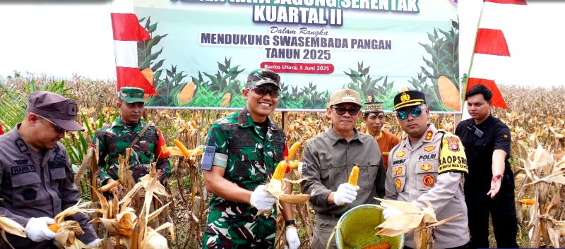 PJ-BUPATI-PANEN-JAGUNG